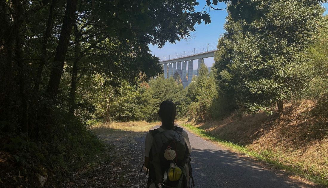 El Camino De Santiago Esquiva A Zamora Esto Puede Ser Un Revulsivo