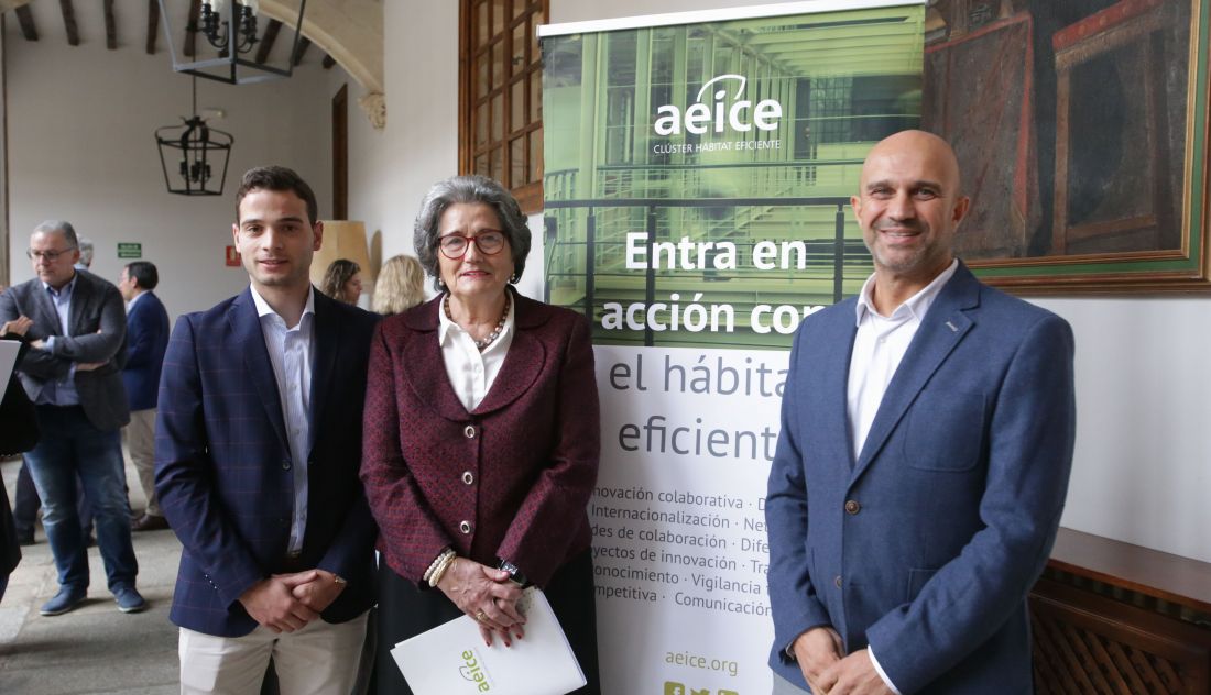 La Aeice Hace Un Llamamiento A Las Empresas A Unirse En Torno Al Plan