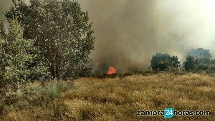 Un incendio intencionado en Tierra de Campos calcina más de veinte