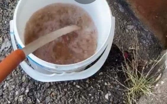 119126901 3141387512653979 3250143790400125862 o