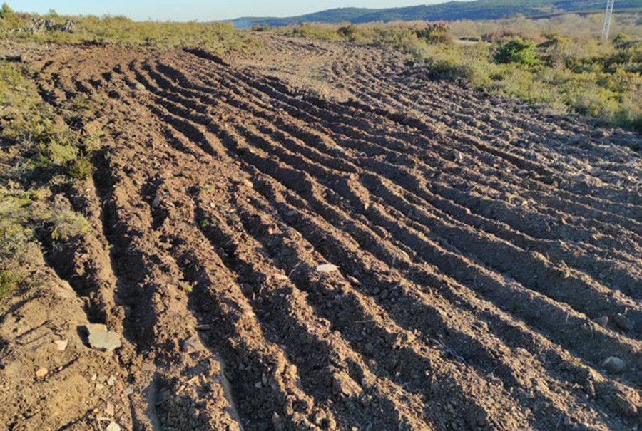 Cryosanabria denuncia la pérdida de biodiversidad en la sierra de la Culebra a causa de arados de tierra destructivos