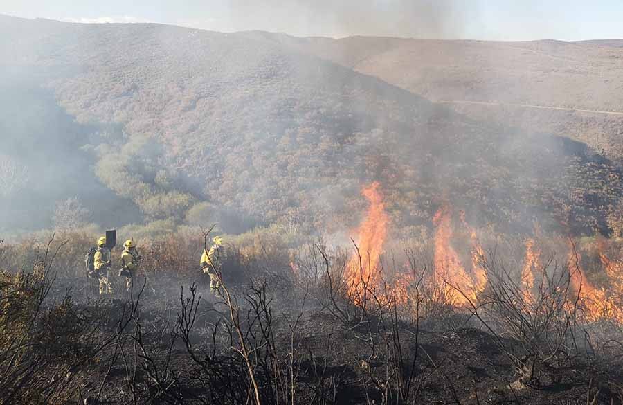 Medios aéreos y terrestres en un incendio forestal. Archivo