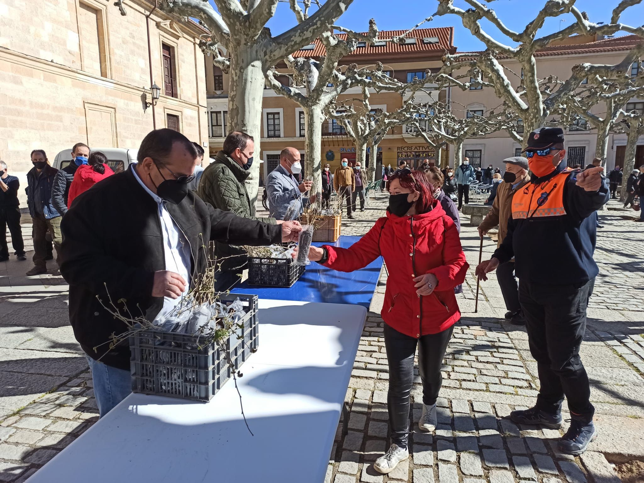 Más de 2.000 avellanos para celebrar el Día del Árbol en Zamora en un año marcado por las medidas de seguridad