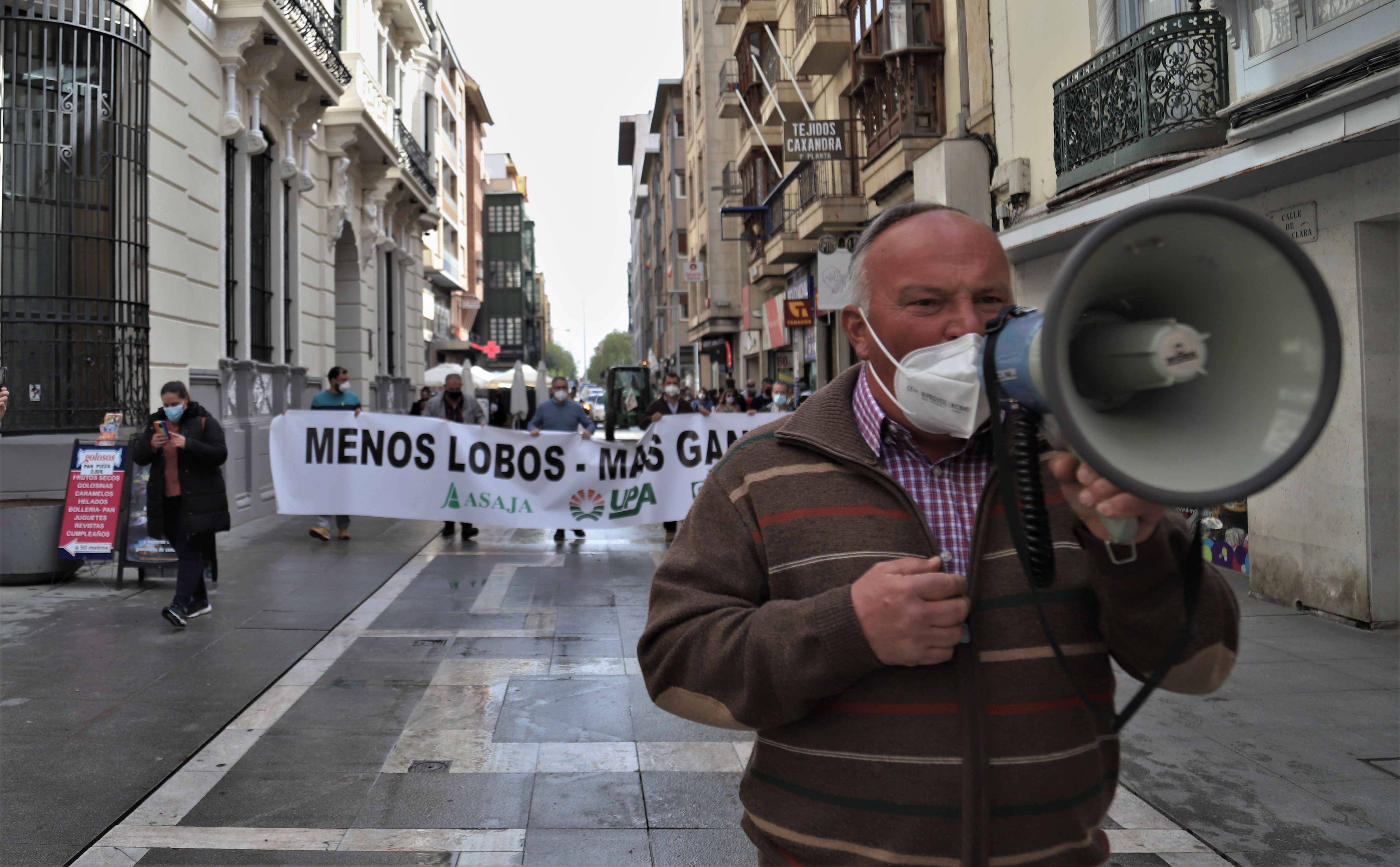  El hartazgo de los ganaderos zamoranos: "Los lobos de dos patas están en los despachos"