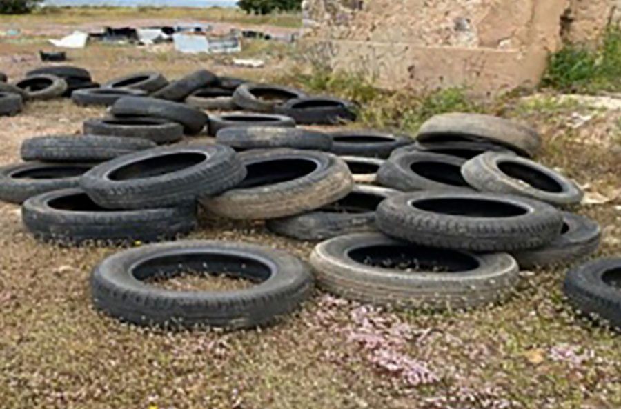 Denuncian las condiciones "insalubres" del entorno del campo de tiro de Las Chanas