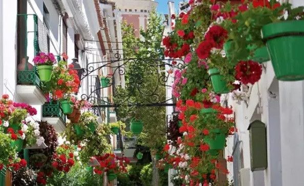 La floral iniciativa para hacer de Fermoselle "un pueblo aún más hermoso": te contamos cómo participar