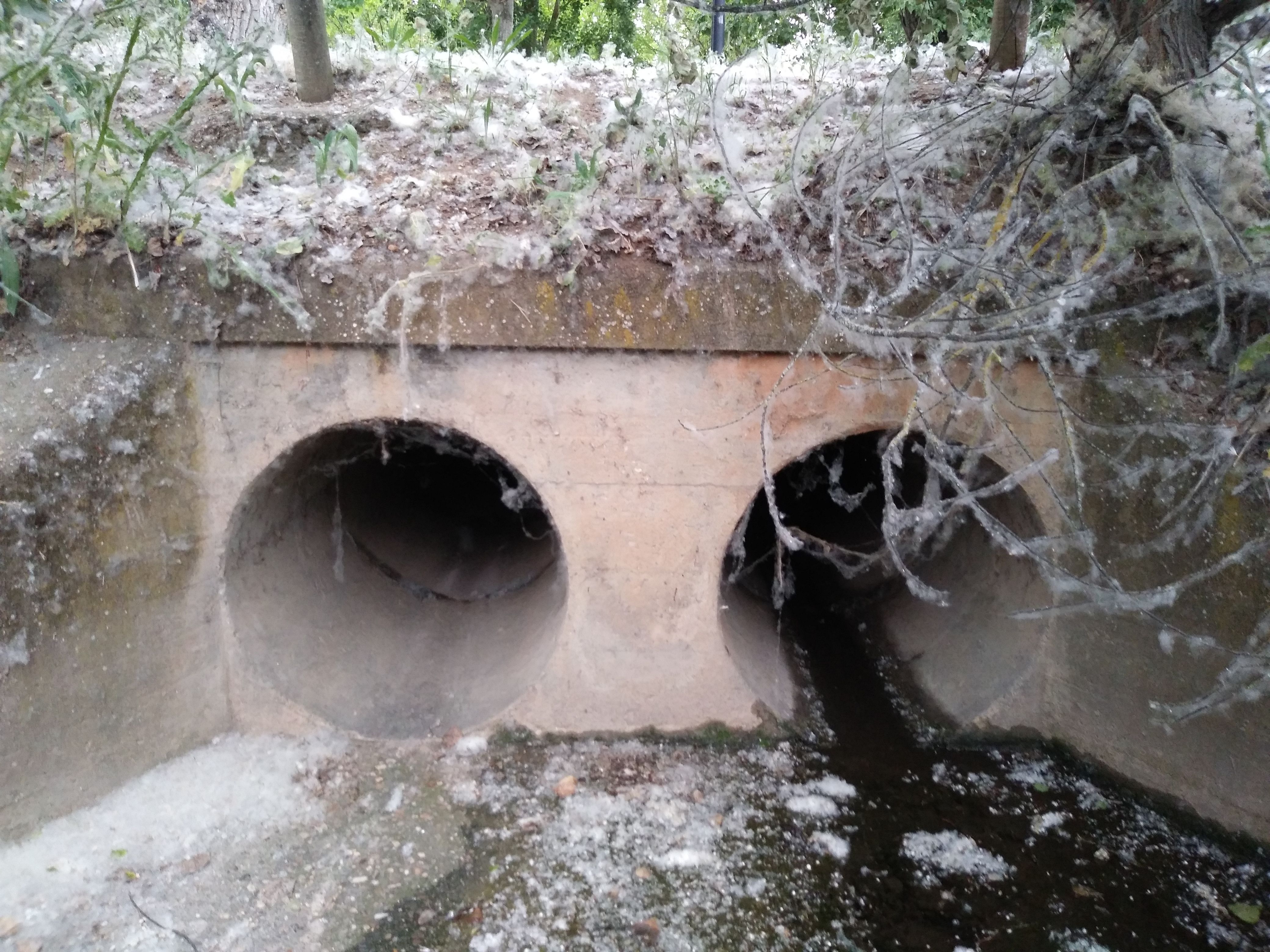 Denuncian vertidos al Duero desde el aliviadero de Los Tres Árboles