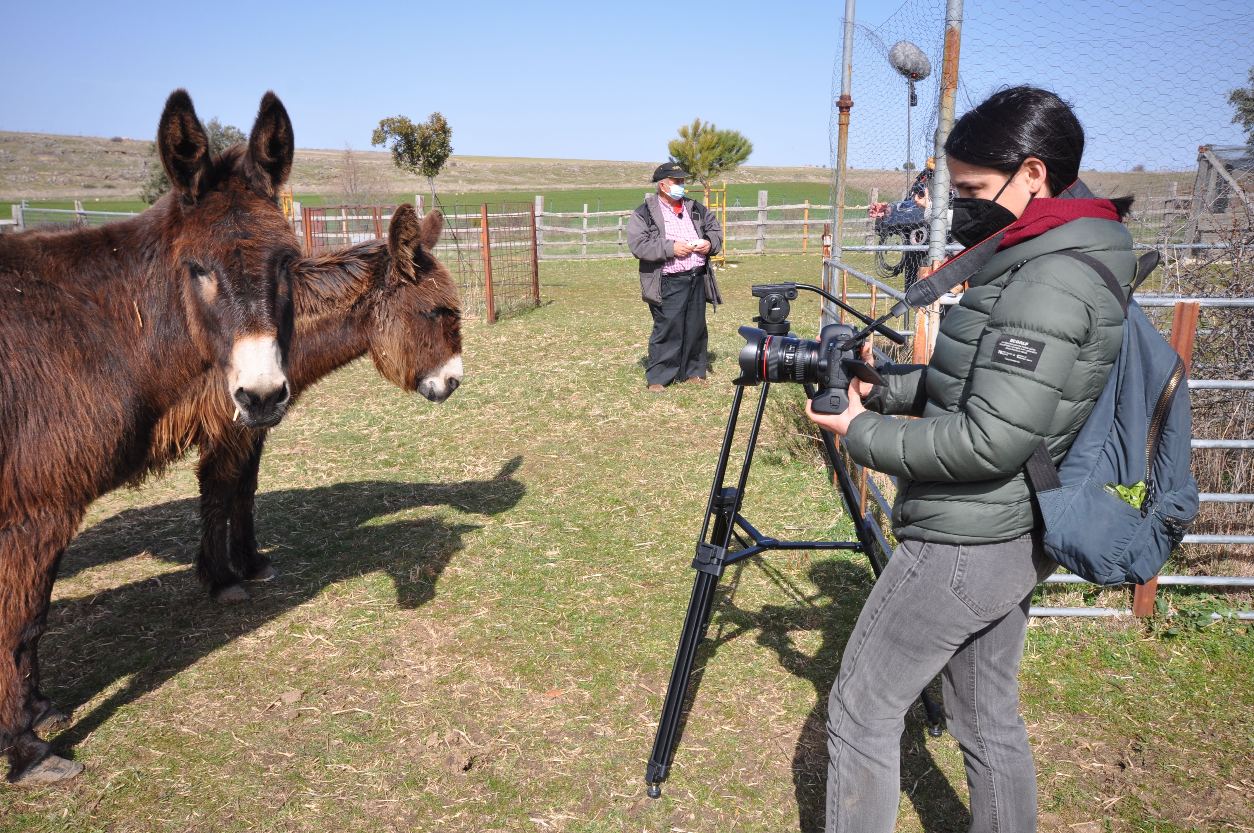 La fotógrafa enfoca a dos burros