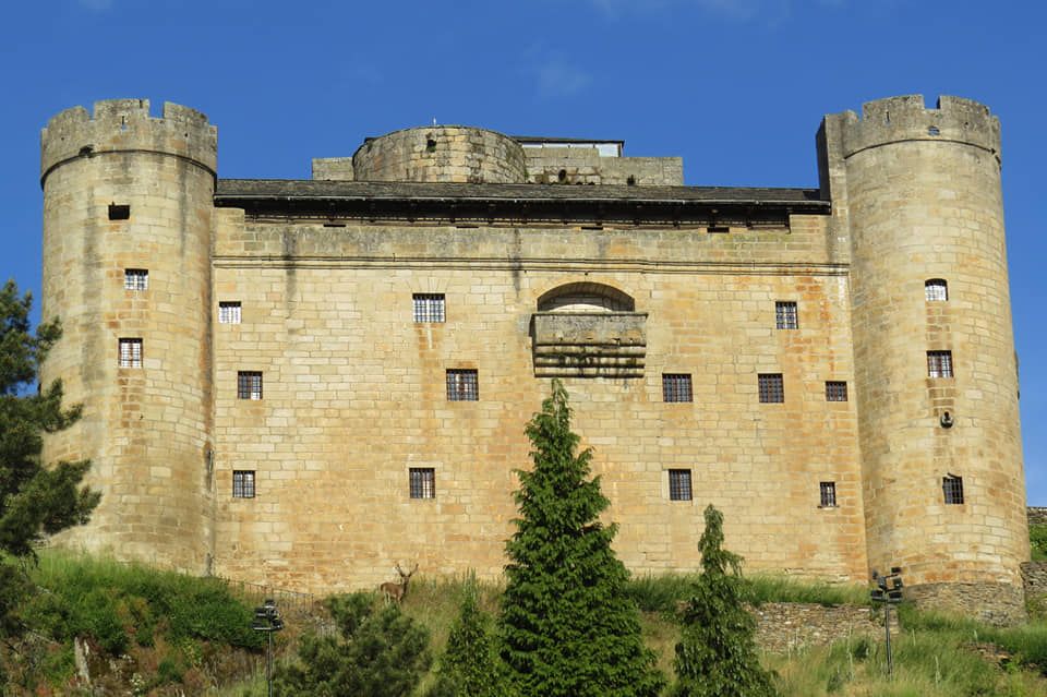 Un ciervo a las puertas del castillo de Puebla de Sanabria