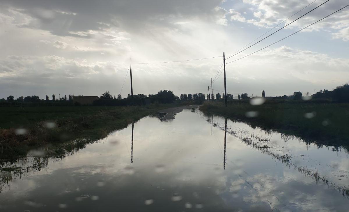 Imagen del estado de la carretera.