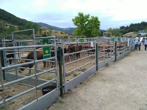 Feria de Porto de Sanabria