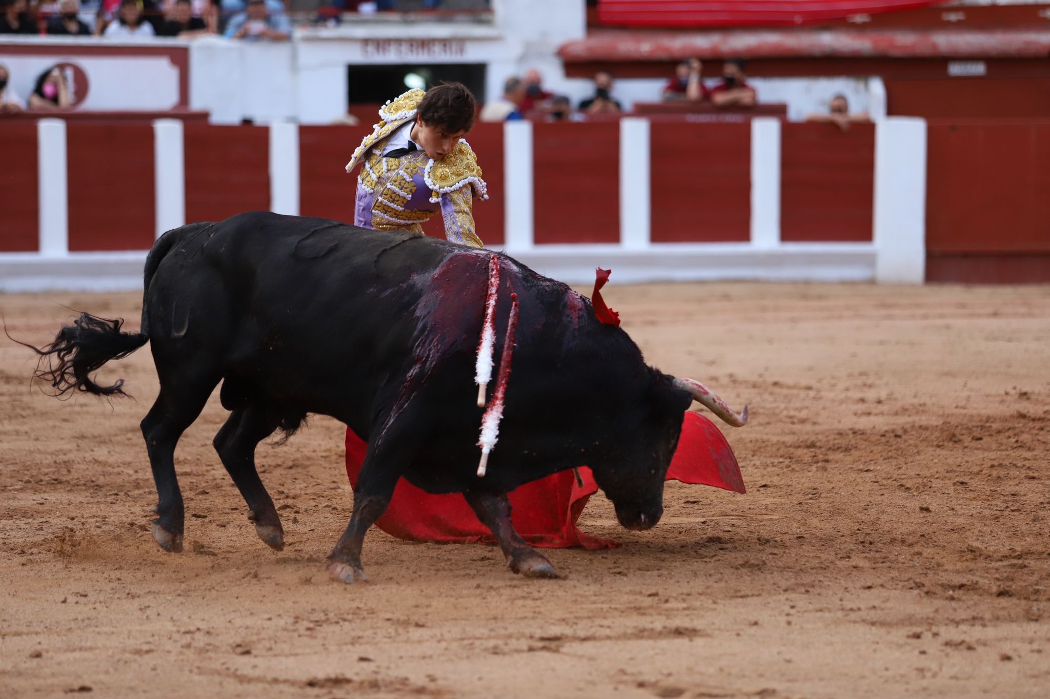 Roca Rey en Zamora