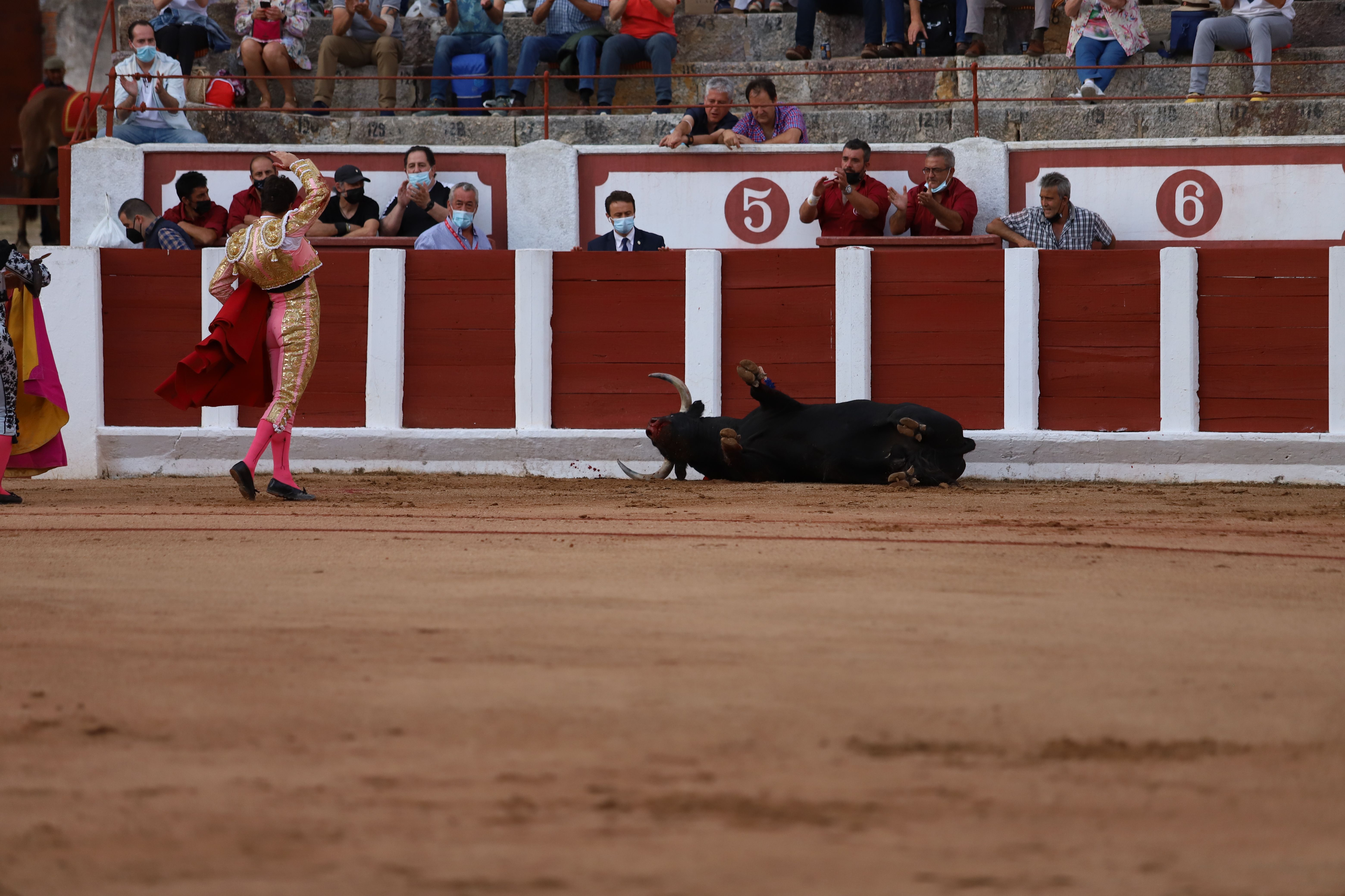 Roca Rey, Pablo Aguado y Daniel Luque en Zamora (1)