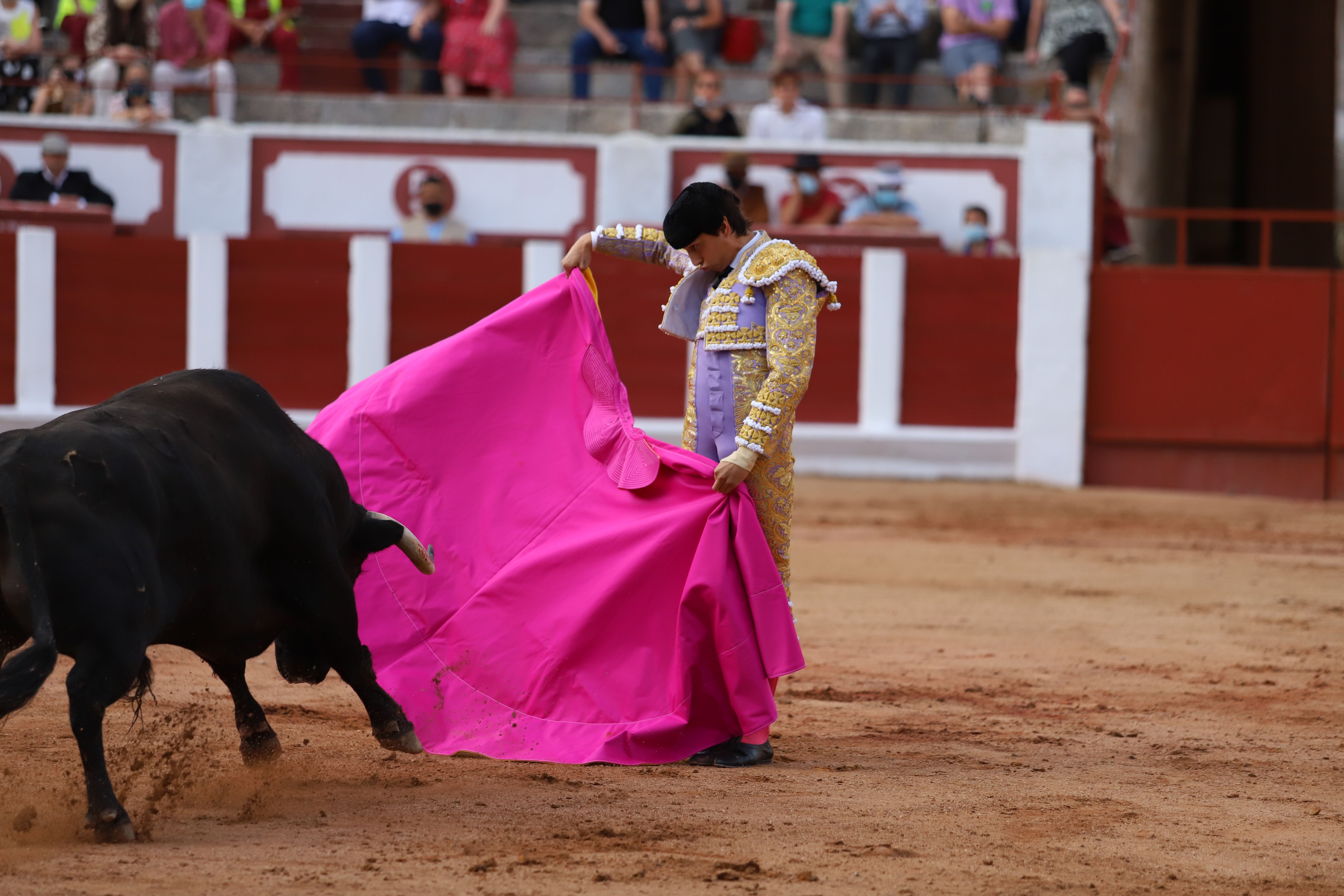 Roca Rey, Pablo Aguado y Daniel Luque en Zamora (8)