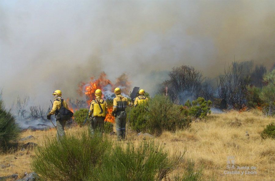 Equipo contra incendios lucha contra un fuego ARCHIVO