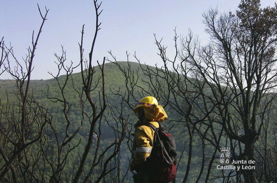 Agente medioambiental