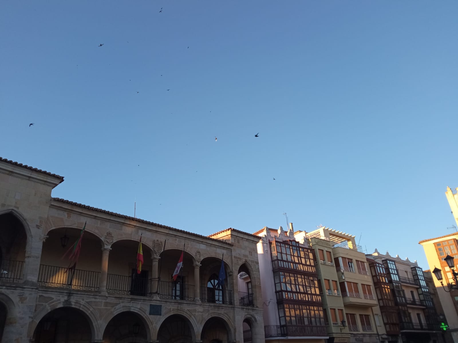 Cielo sin nubes en Zamora