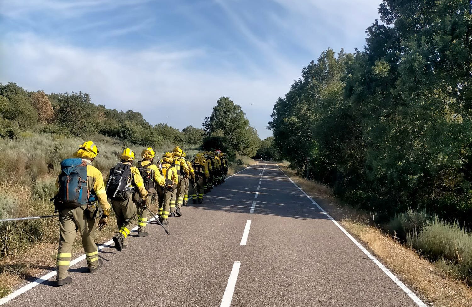 Bomberos forestales desplazándose a un incendio. Archivo