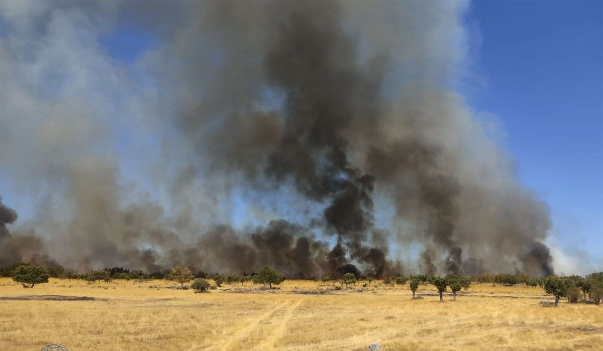 Estado inicial del incendio de Fresnadillo de Sayago