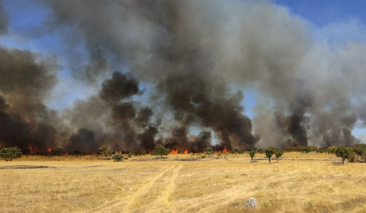 Estado inicial del fuego en Fresnadillo de Sayago