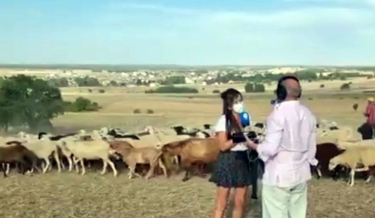 Patricia Isidro durante la emisión del programa FOTO AGROPOPULAR