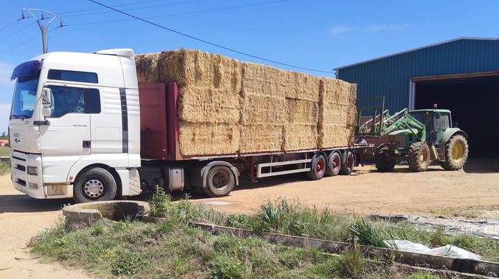 Camión cargado de paja con el que Juan viajará hasta Ávila para ayudar a los afectados por el incendio