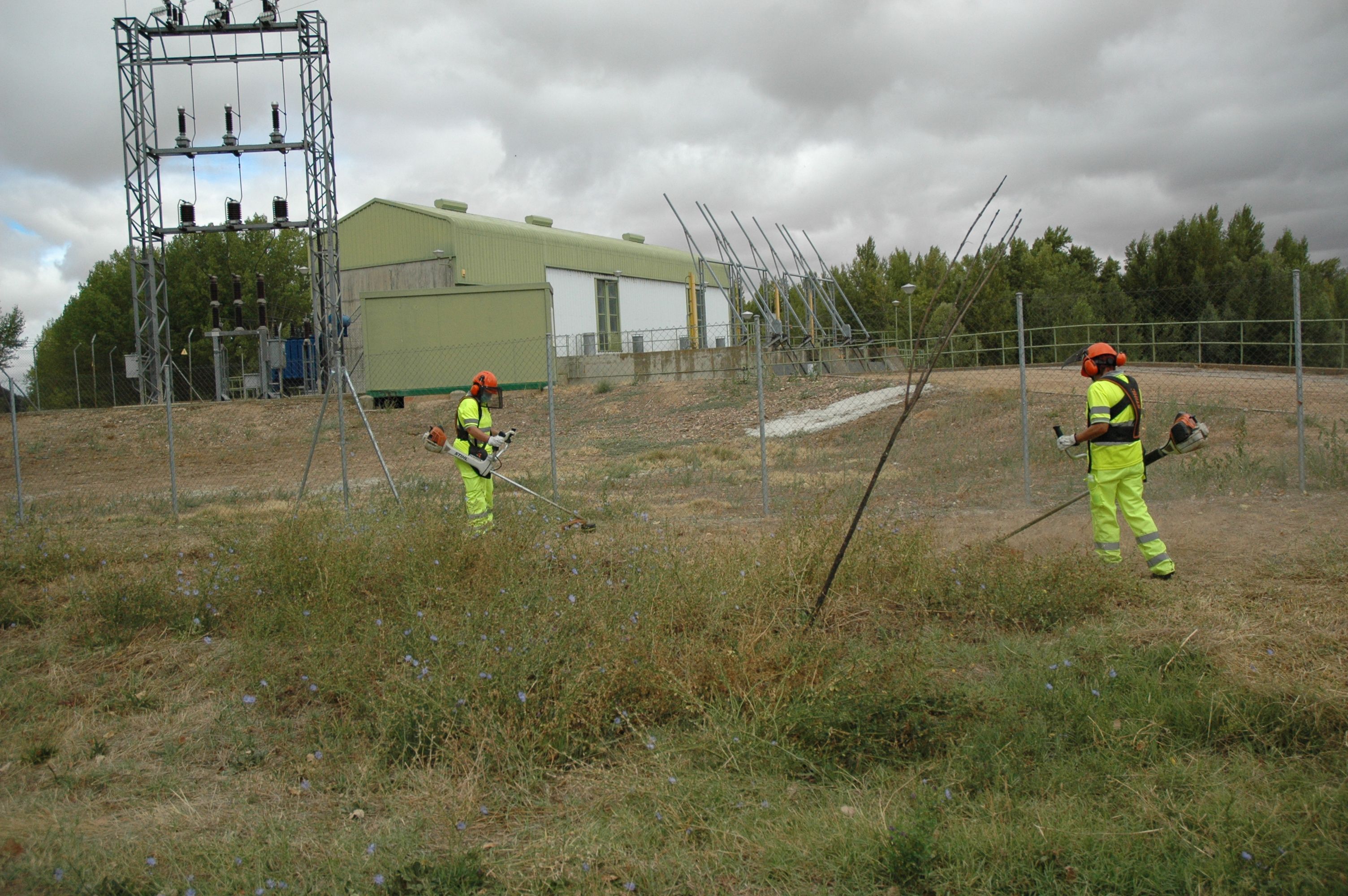 Plan de Empleo Forestal. Diputación