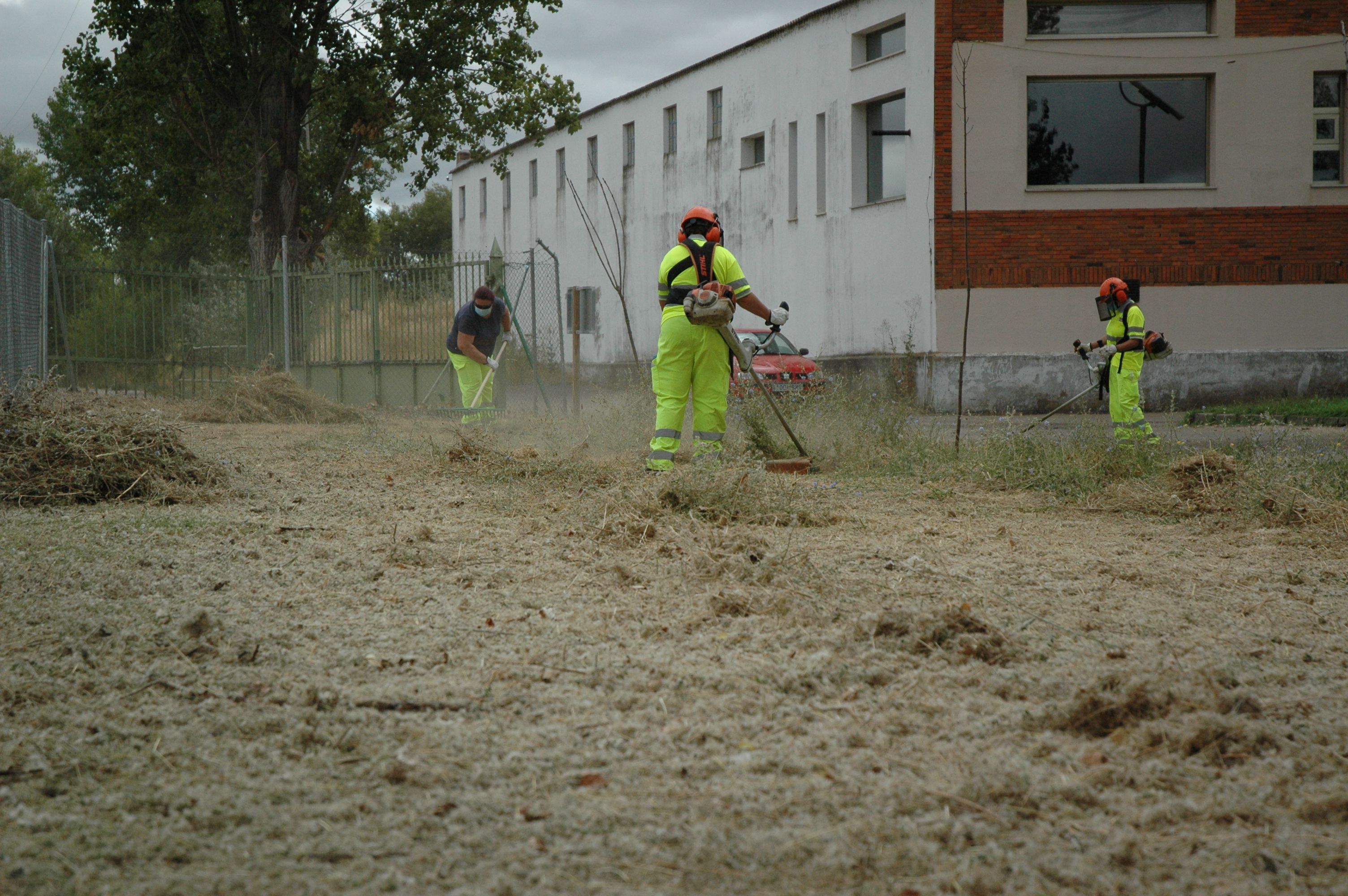 Trabajadores en el Plan de Empleo Forestal de la Diputación. Archivo