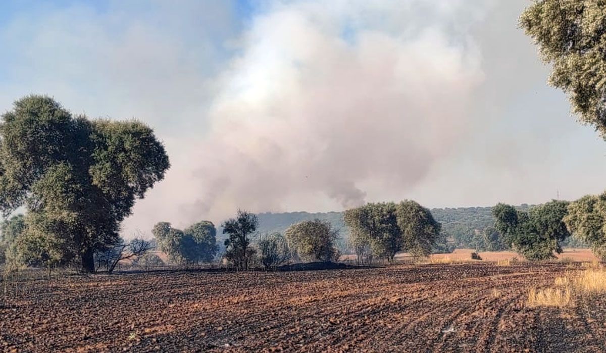 Incendio de valdescorriel