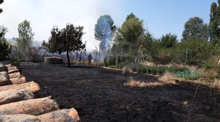 Incendio en San Juanico el Nuevo. Foto BenaventeDigital (2)