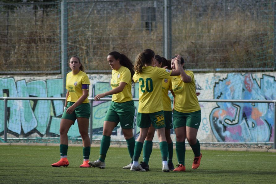 Las jugadoras del Amigos del Duero celebran uno de los goles