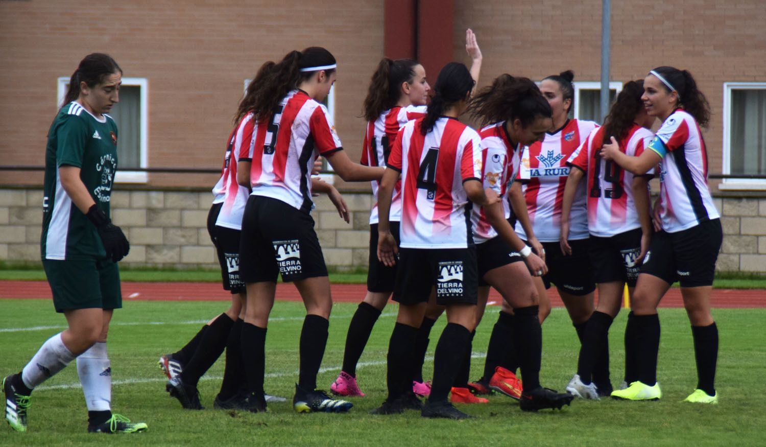 Las jugadoras del Zamora Amigos del Duero celebran un gol