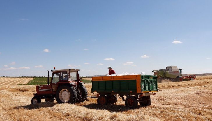 agricultor en el campo. UPA. Archivo