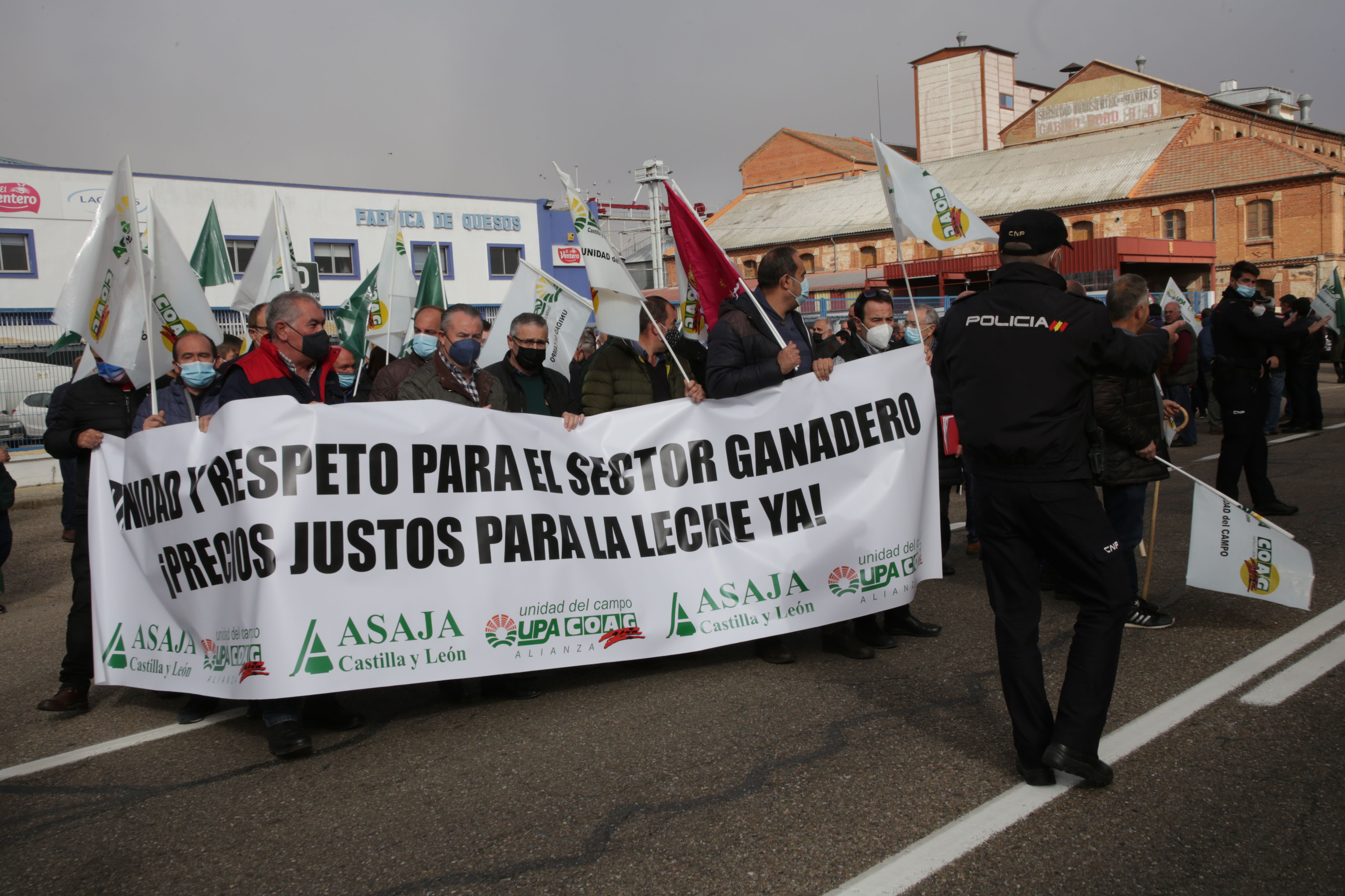 Manifestación de Asaja y la Alianza UPA COAG para reclamar precios justos para los ganaderos