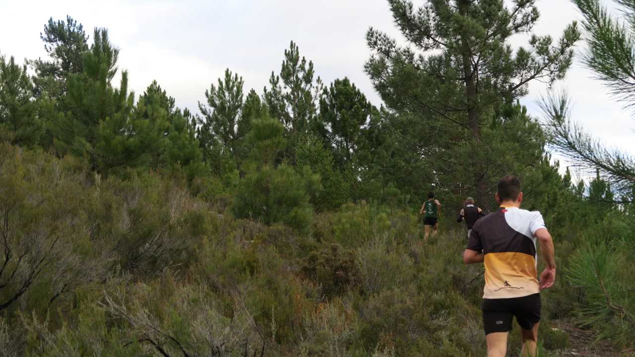 Carrera Muy Silvestre de Codesal