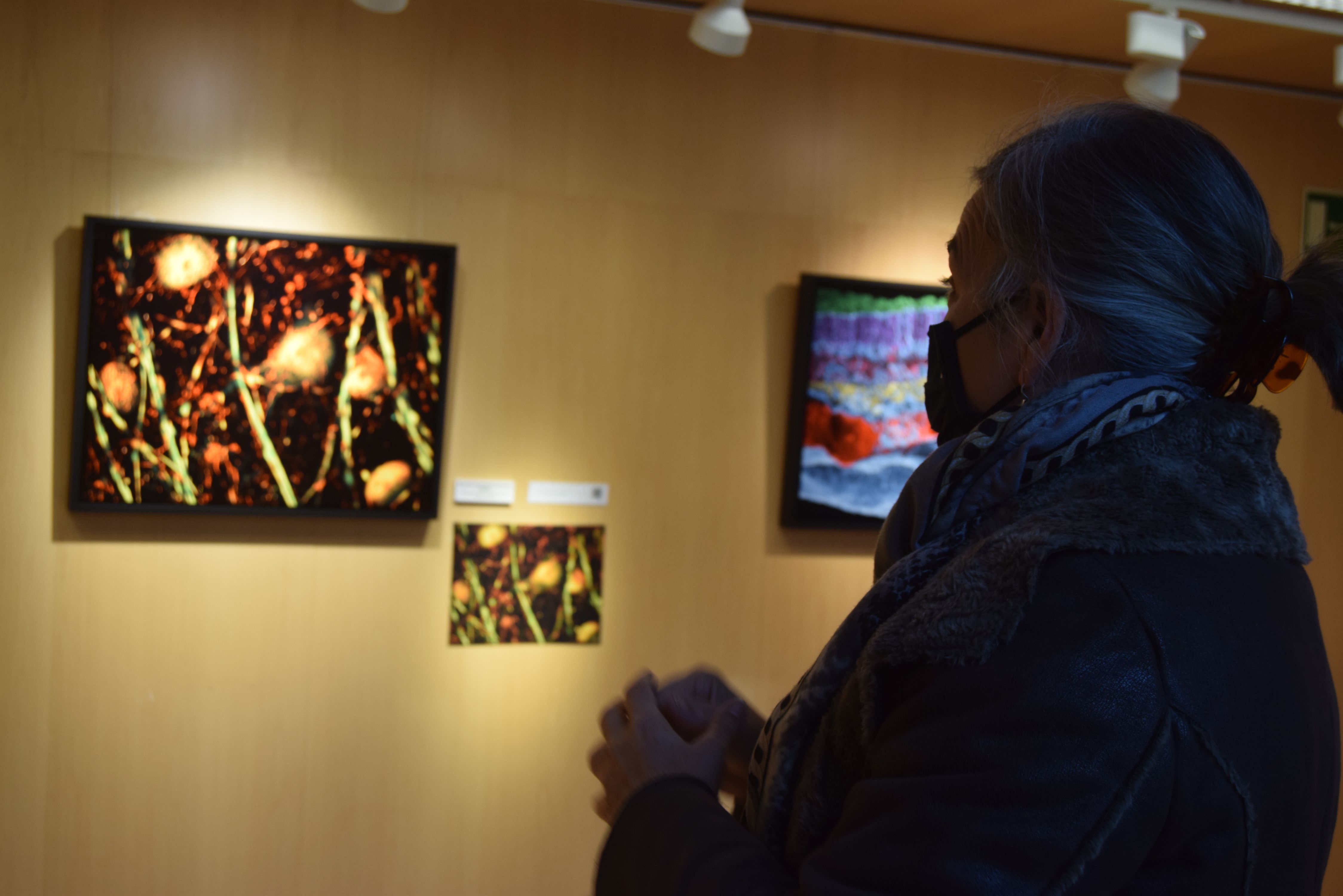 Exposición 'El ojo de la ballena'