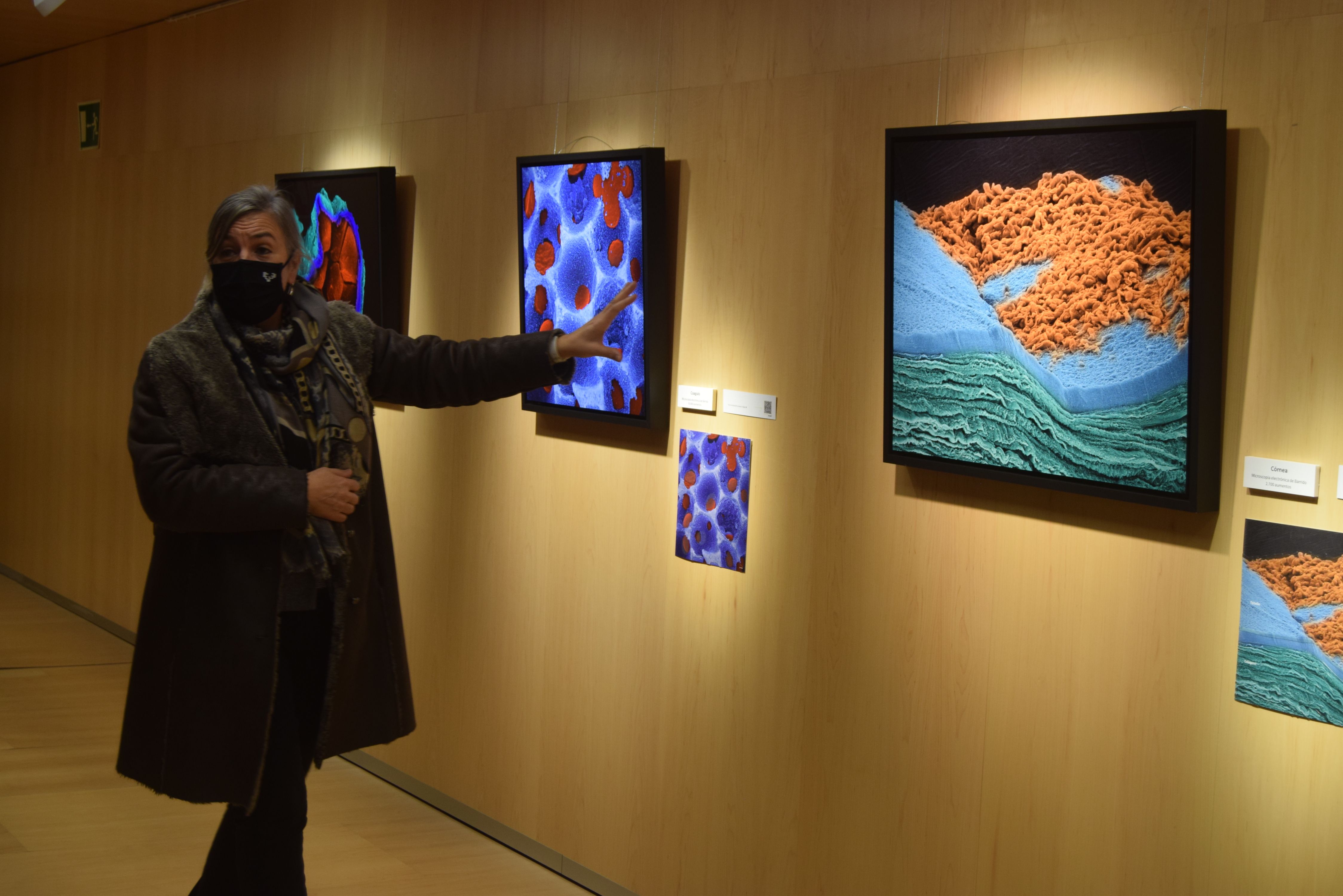 Exposición 'El ojo de la ballena'