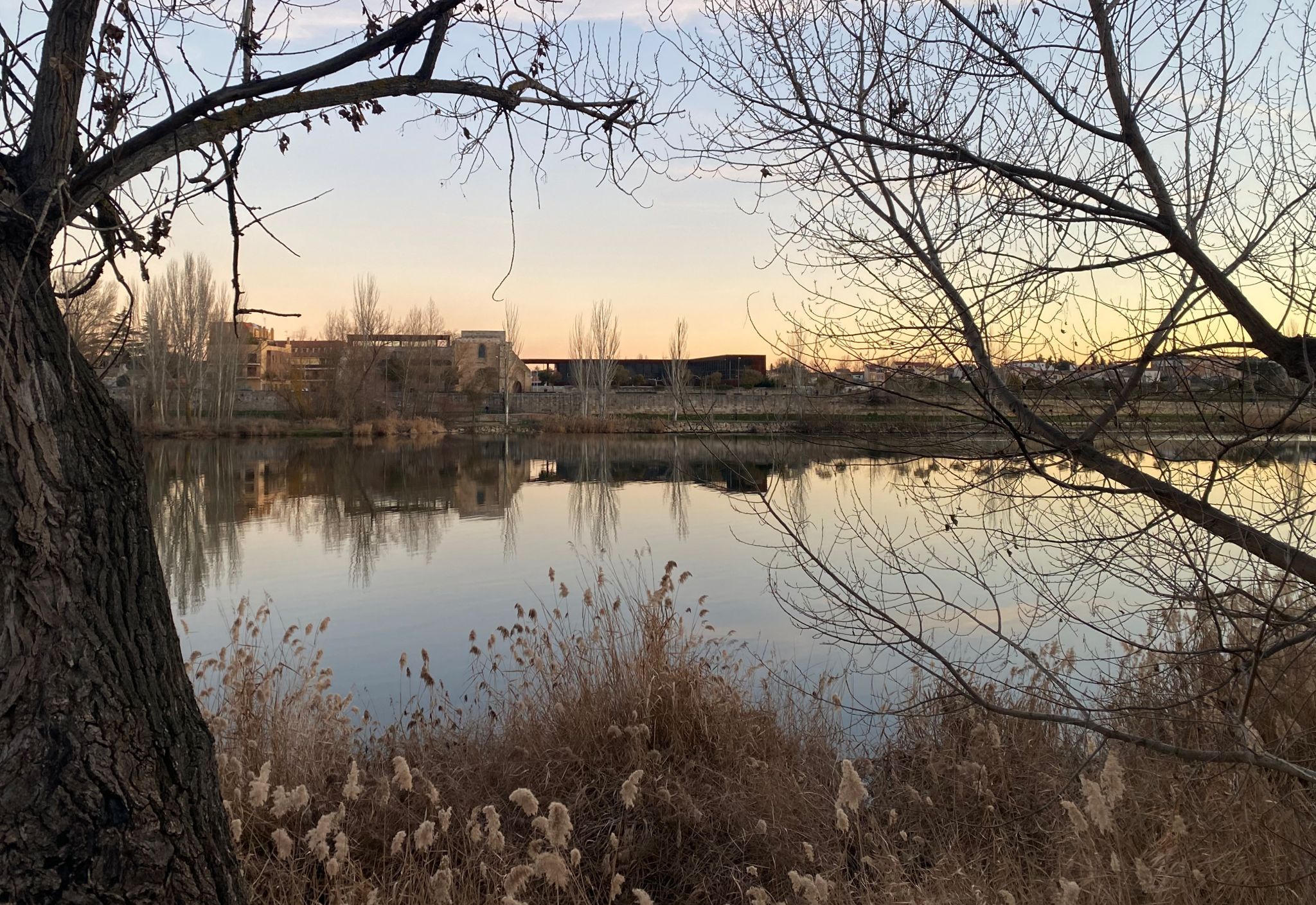 El tiempo en Zamora