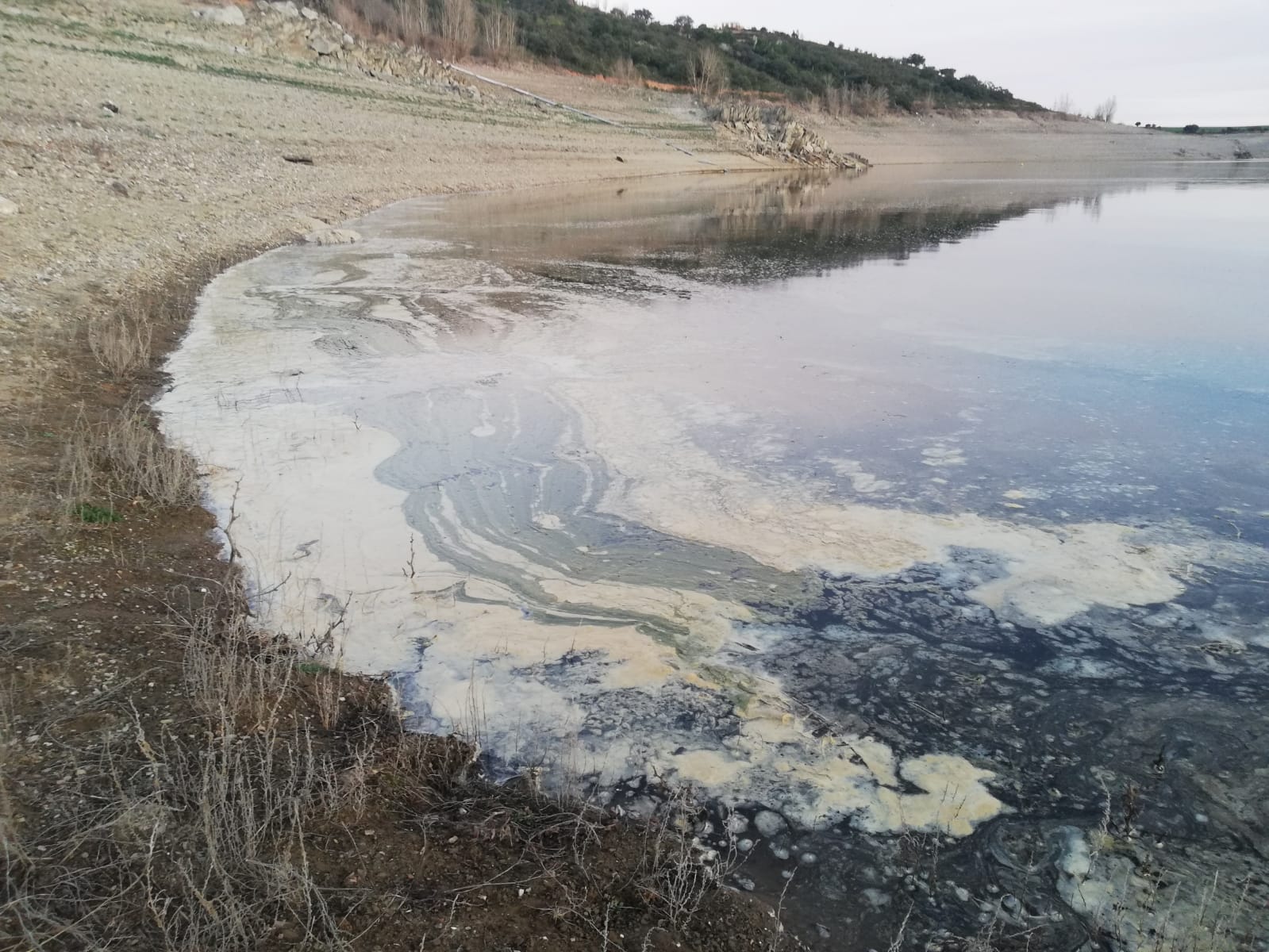 Agua estancada en Ricobayo