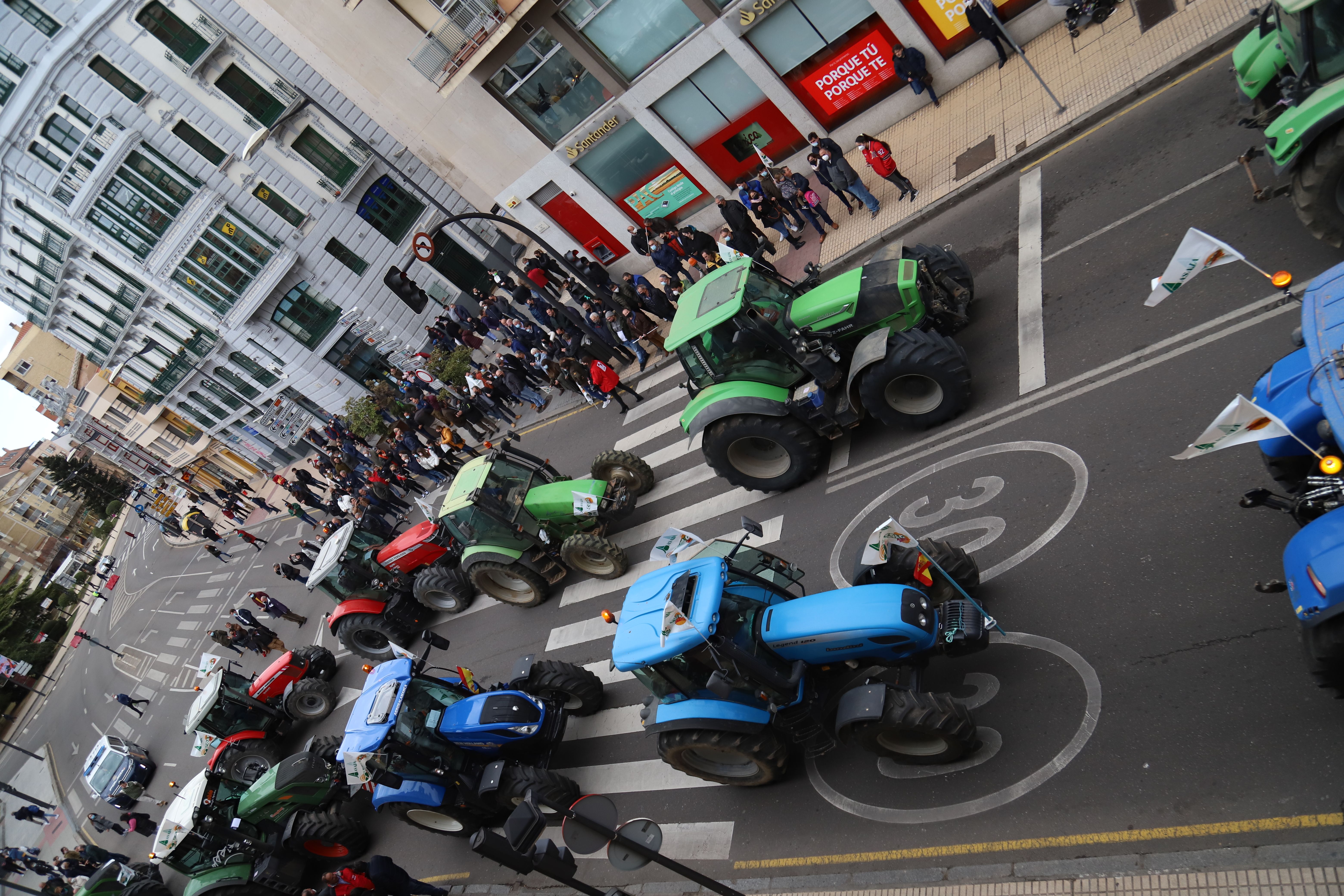 Tractorada en defensa del medio rural de Zamora Foto María Lorenzo  (4)