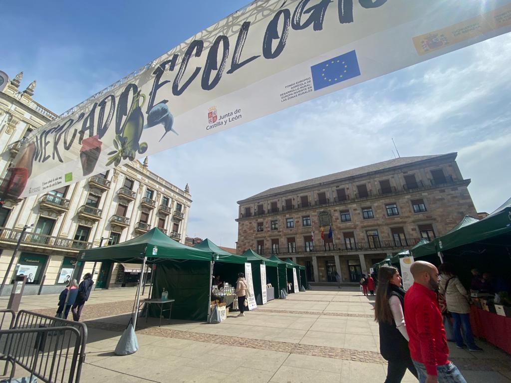 Mercado Ecológico en Zamora Foto: M.L