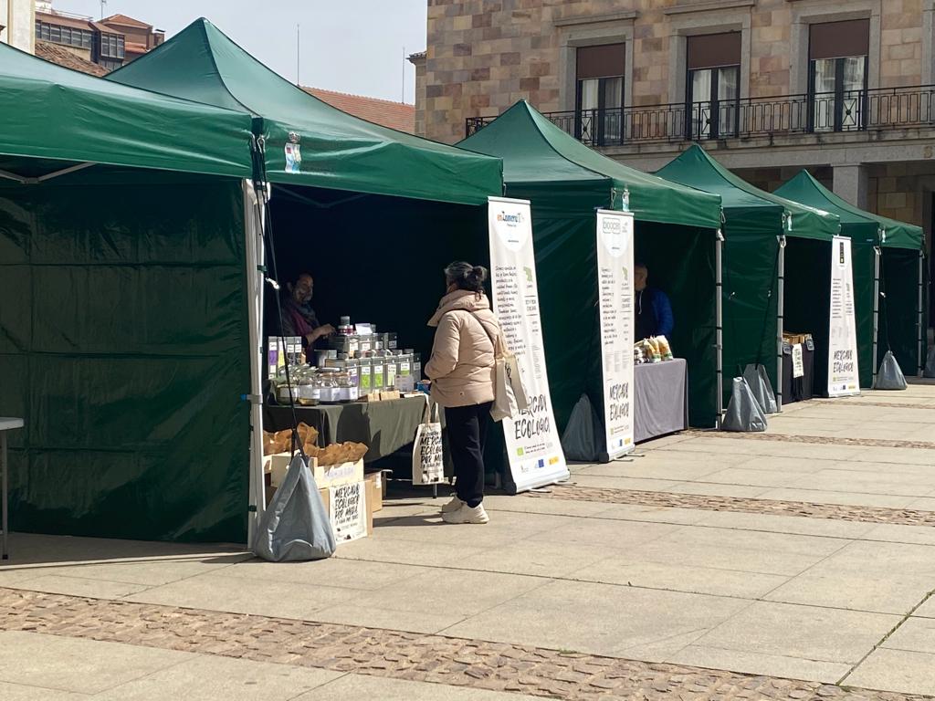 Mercado Ecológico en Zamora Foto: M.L