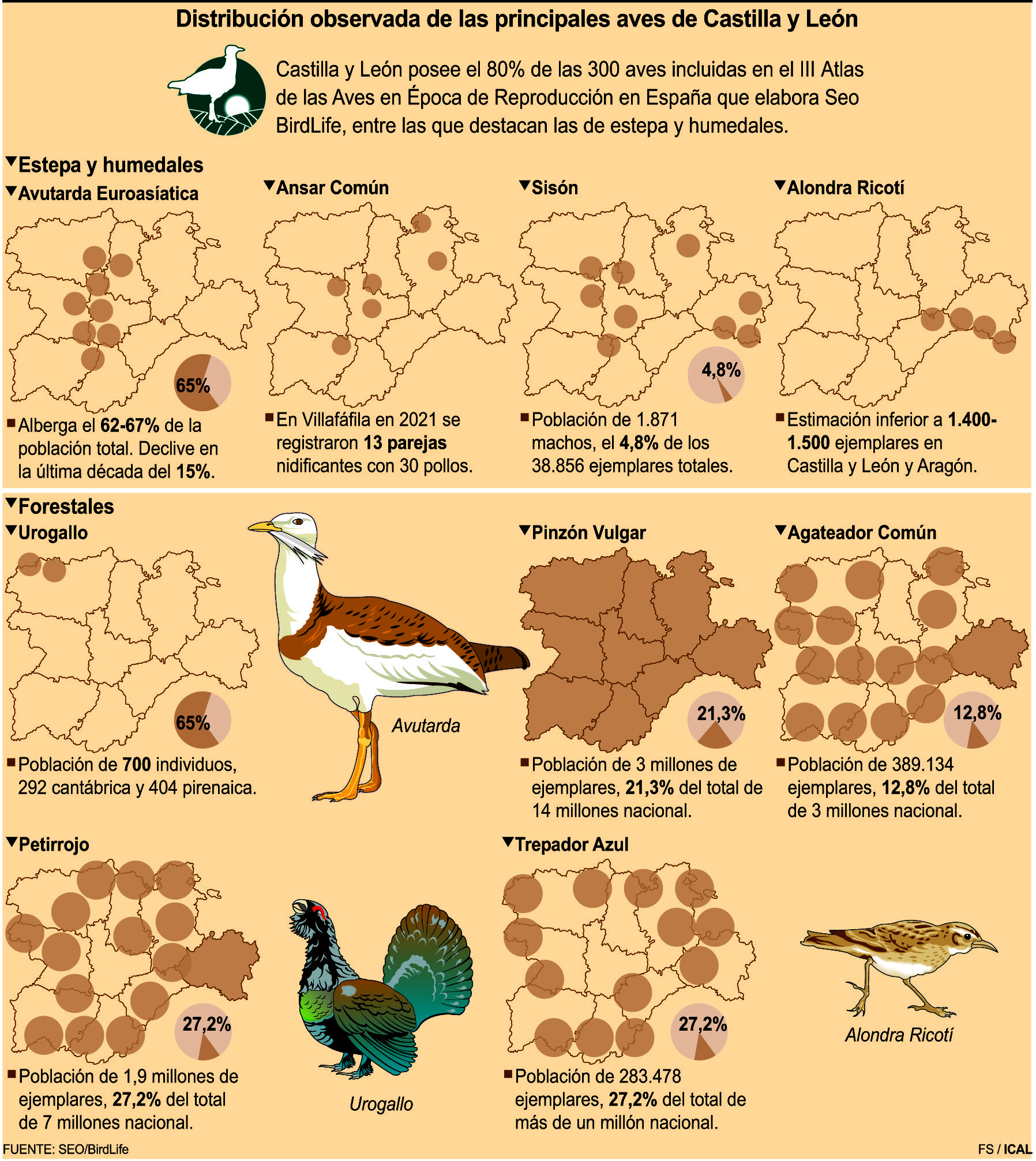 Distribución observada de las principales aves de Castilla y León