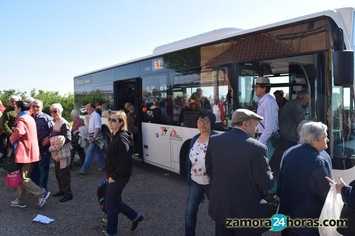 Servicio especial de autobuses al Cristo de Morales