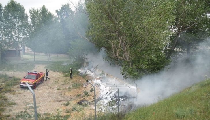 Los bomberos sofocando un incendio de pelusas del chopo. Archivo