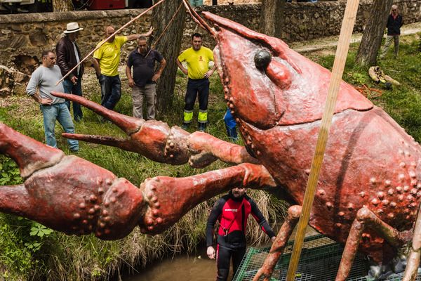 Un cangrejo gigante navega sobre las aguas del Duero