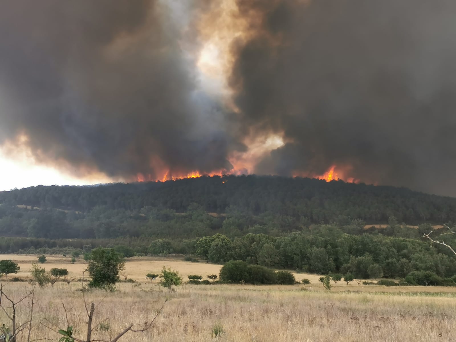 Incendio de Ayoó de Vidriales