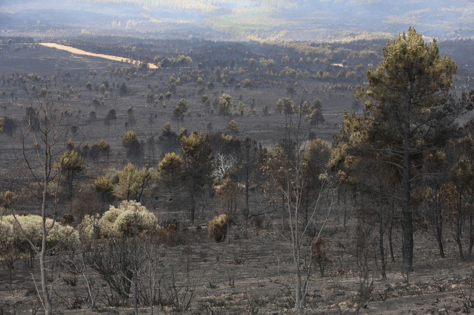 Las desoladoras imágenes de la Sierra de la Culebra tras el incendio 