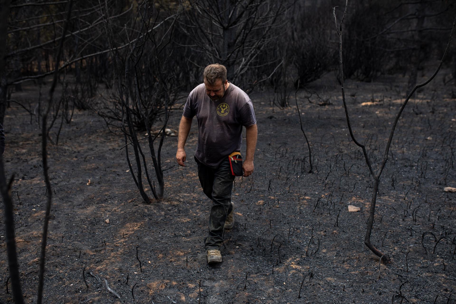 Una persona camina por la zona tras el incendio de la Sierra de la Culebra. Foto Europa Press