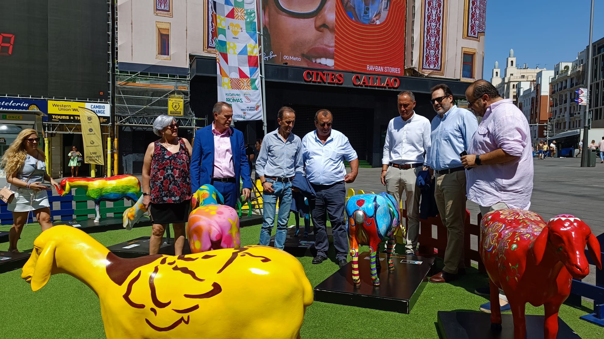 El “color zamorano” llega a la madrileña plaza del Callao con la exposición ‘Ovejas Fromago Cheese Experience’ (4)